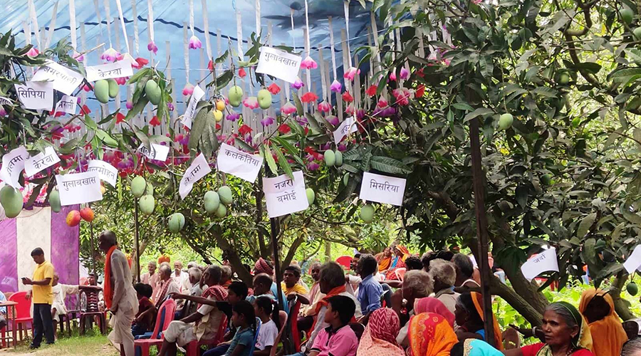 ‘म्याङ्गो फेस्ट २०२५’ मा ९ मेट्रिकटन आँप बिक्री, ८ हजारभन्दा बढीले लिएकाे सहभागि