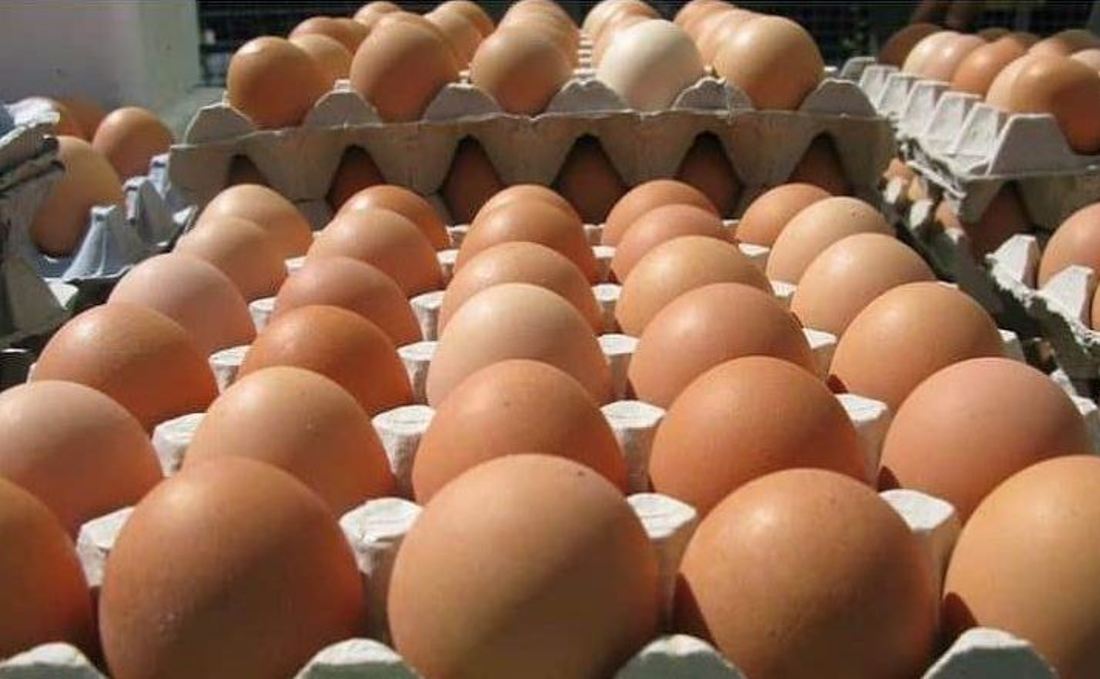 अण्डाको मूल्य क्रेटमै ३० रुपैयाँ बढ्यो