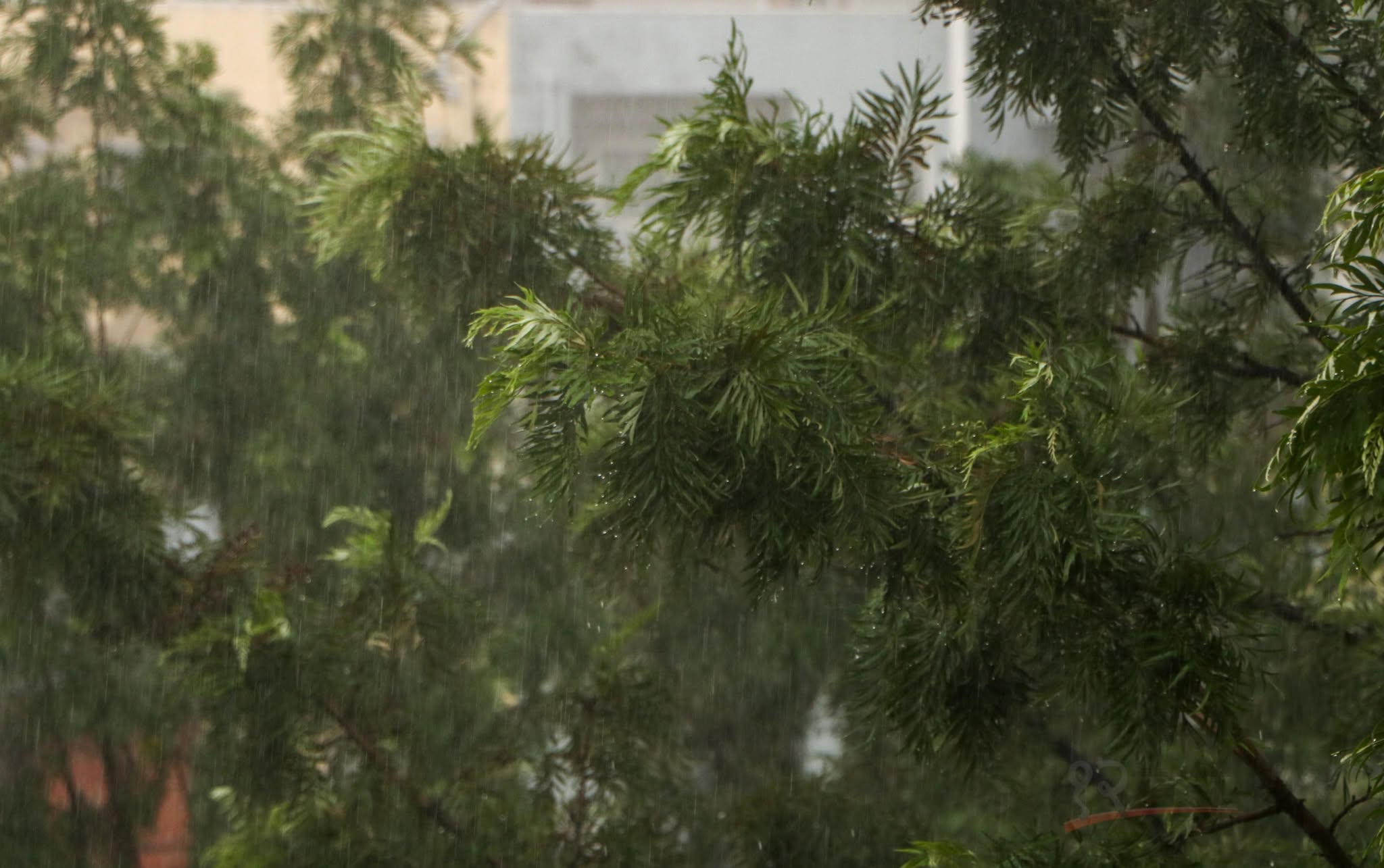 हेटौँडामा लगातार भारी वर्षा, बासिन्दालाई सतर्क रहन आग्रह