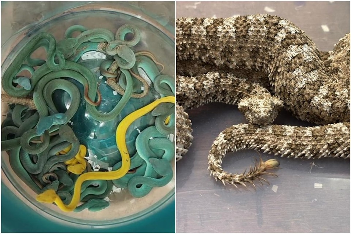 थाइल्याण्ड–भारत हवाई मार्गमा फेरि सर्प