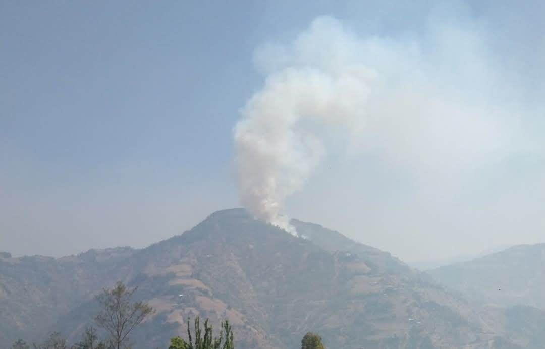 महाङ्काल  डढेलो : वडा नम्बर २ को बस्तितर्फ सोझियो