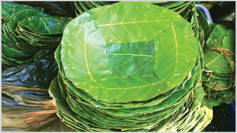 दुनाटपरी गाँसेर जीविकोपार्जन गर्दै महिला