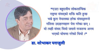 लोकतन्त्रको ऐना हो संसद्