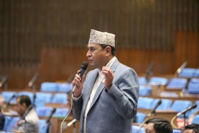 बाँदरले आतंक मच्चाएको भन्दै समाधानको विकल्प खोज्न सरकारलाई आग्रह