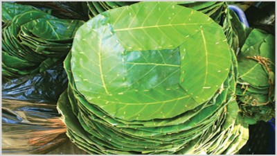 दुनाटपरी गाँसेर जीविकोपार्जन गर्दै महिला