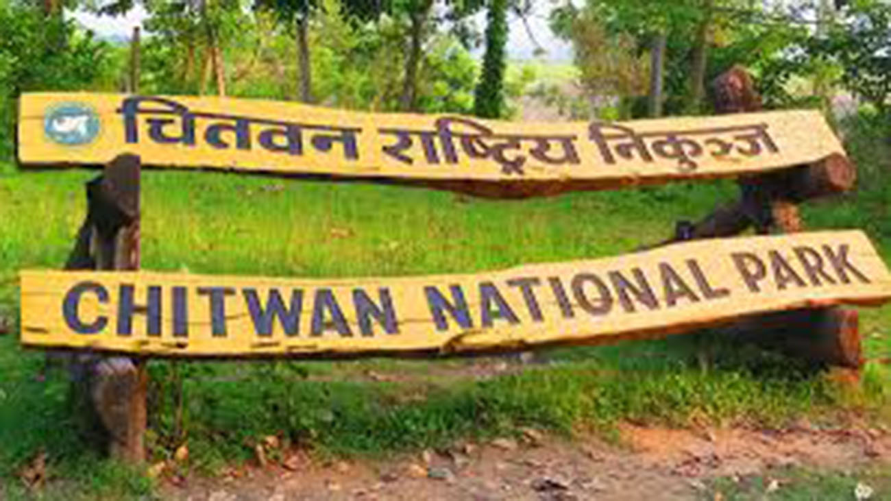 चितवन राष्ट्रिय निकुञ्जमा आजदेखि जीप सफारी बन्द