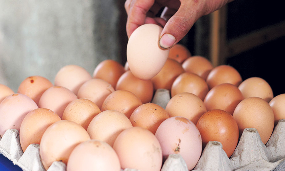 भदौ महिना लागेसँगै अण्डाको मागसँगै बढ्यो मूल्य
