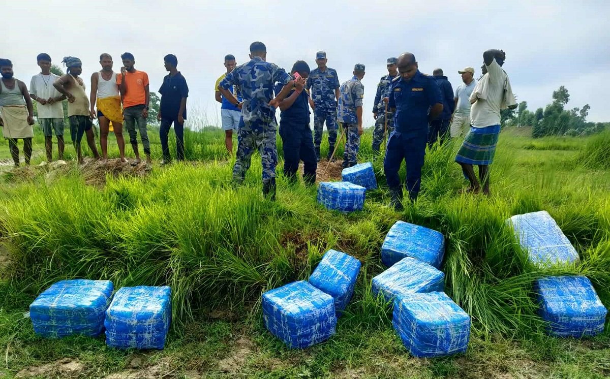 सप्तरीमा ठुलो परिणाममा गाँजा बरामद